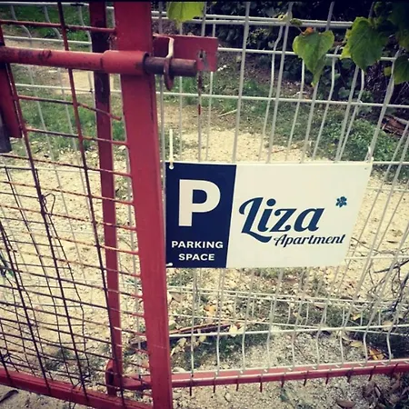 Liza's Downtown Apartment *