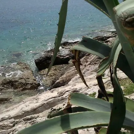 Liza's Downtown Daire *