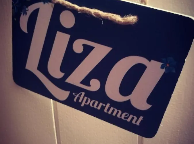 Liza's Downtown アパート *