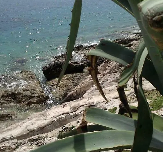 Liza's Downtown アパート *